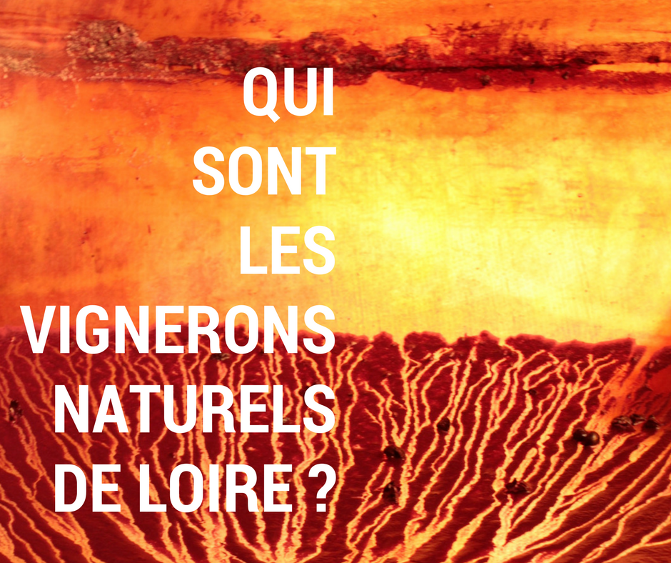Qui sont les vignerons naturels de Loire ? Enquête